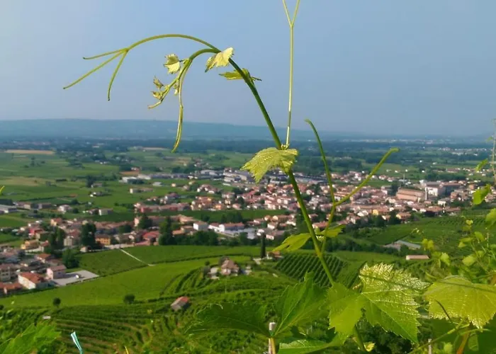 Seven Pieve